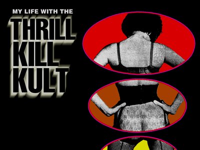 MY LIFE WITH THE THRILL KILL KULT photo