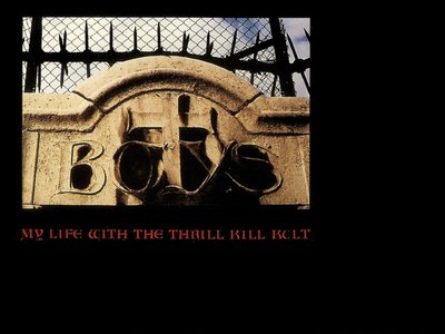 MY LIFE WITH THE THRILL KILL KULT photo