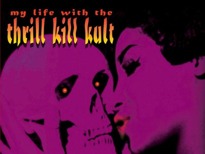 MY LIFE WITH THE THRILL KILL KULT photo