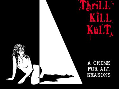 MY LIFE WITH THE THRILL KILL KULT photo