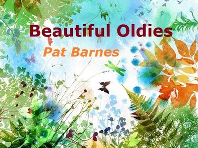 Pat Barnes photo