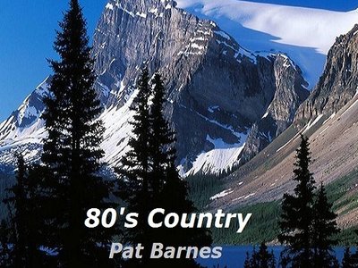 Pat Barnes photo