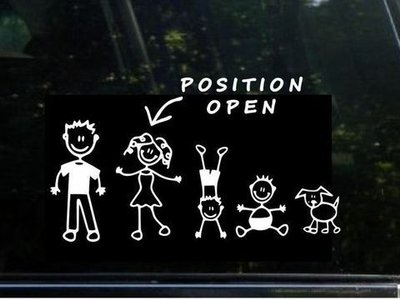 The Positive Sticks photo