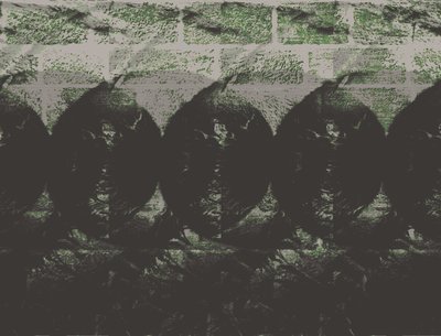 SystemCMPLX photo