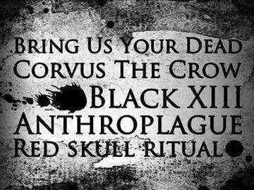 Corvus the Crow photo