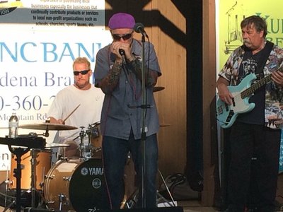 Downs Park Summer Concert Series 2015