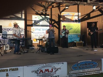 Downs Park Summer Concert Series 2015