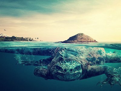 Hiddenland photo