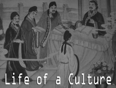 Life of a Culture