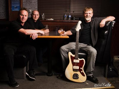 Groove Hounds photo