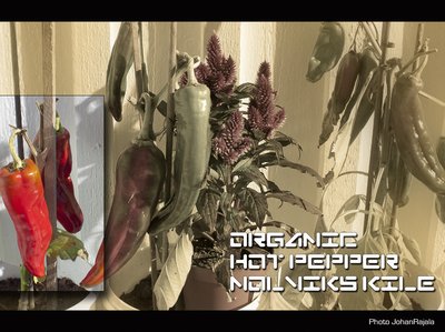Tune Concept /Johan Rajala photo