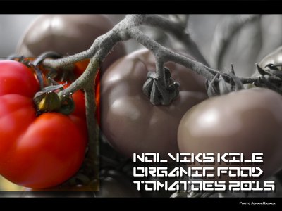 Tune Concept /Johan Rajala photo