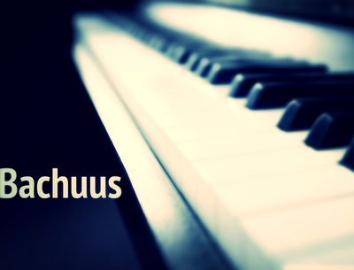 BACHUUS photo