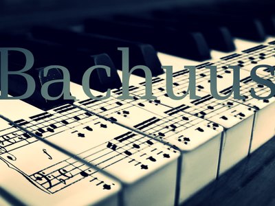 BACHUUS photo