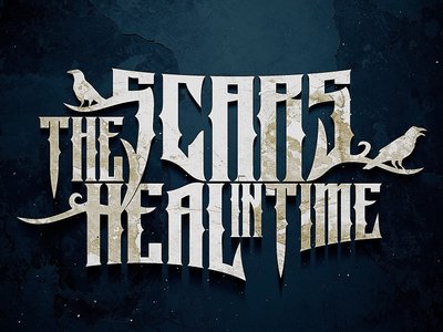 The Scars Heal In Time photo