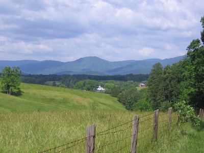Sweet Virginia!
