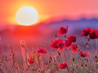 orange sun