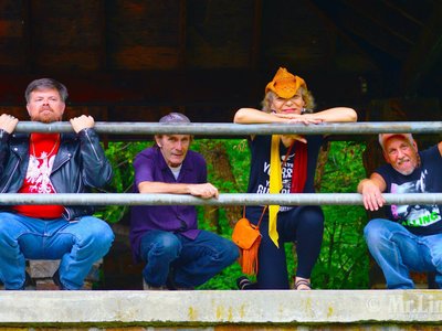 The Dana Gaynor Band photo