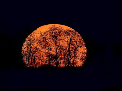 Ade Jackson photo