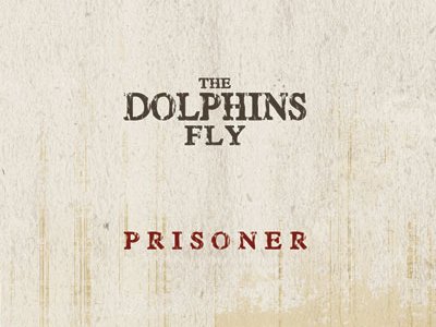 The Dolphins Fly photo