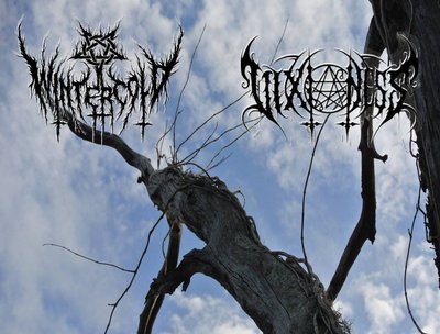 vixioness photo