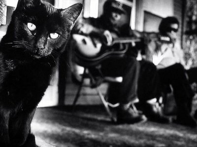 Blues Cat
