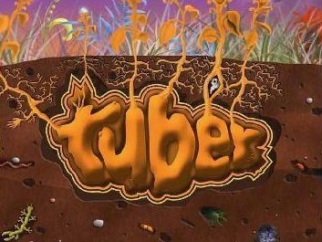 CD Cover