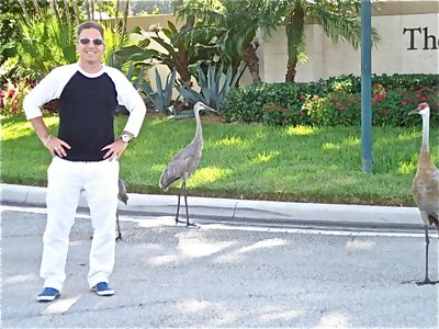In Palm Beach,The Birds are Drug Dealers?