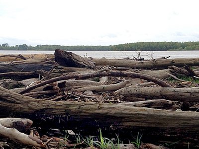 Driftwood Ramblers photo