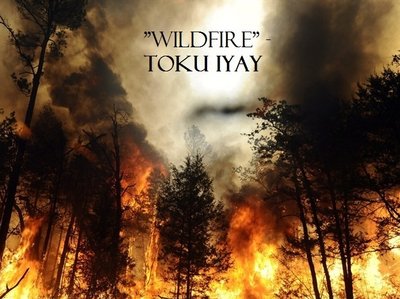 Toku Iyay photo