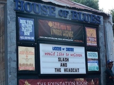 HeadCat photo