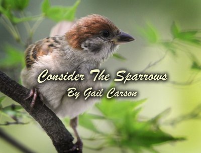 Gail Carson photo