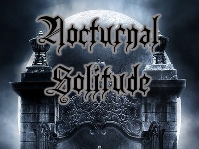 Nocturnal Solitude photo