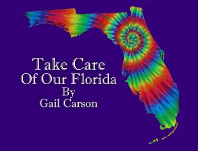 Gail Carson photo