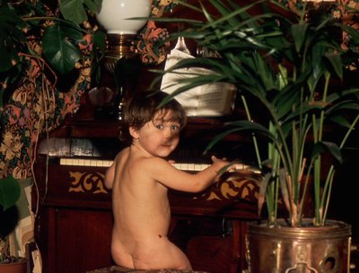 Josh Steed photo
