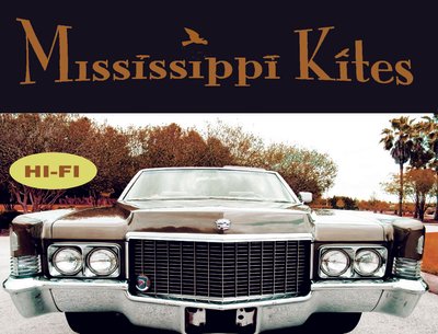 Mississippi Kites photo