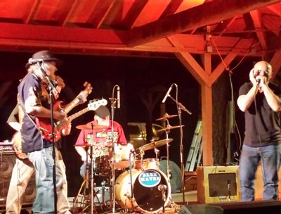Blue Haven Blues Band photo