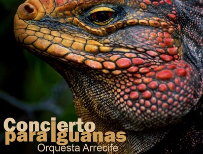 Orquesta Arrecife photo