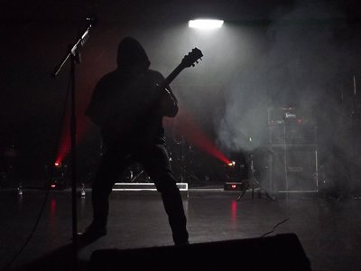 Veratrum OFFICIAL photo