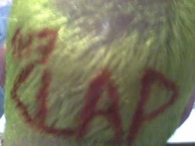 The Clap photo