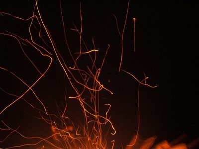 Emberflies