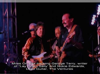 Nokie Edwards (Ventures), George Terry (Eric Clapton) and self!