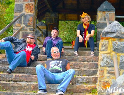 The Dana Gaynor Band photo