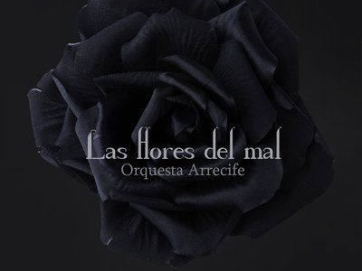 Orquesta Arrecife photo