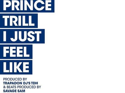 Prince Trill photo