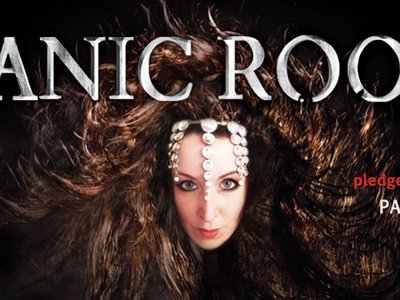 PANIC ROOM photo