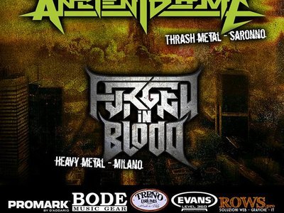 FORGED IN BLOOD photo