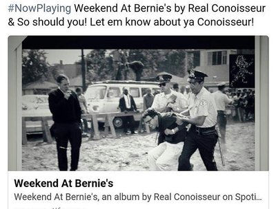 Real Conoisseur photo
