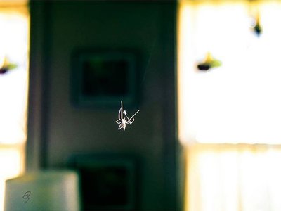 Edoardo Salazar photo