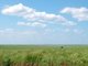 SD Grasslands